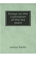 Essays on the Cultivation of the Tea Plant