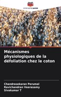 Mécanismes physiologiques de la défoliation chez le coton