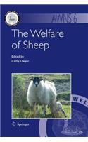 Welfare of Sheep