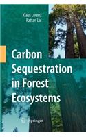 Carbon Sequestration in Forest Ecosystems