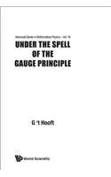 Under The Spell Of The Gauge Principle