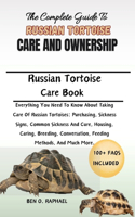 Complete Guide to Russian Tortoise Care and Ownership