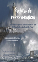 Perfiles de Perseverancia