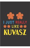 I Just Really Like Kuvasz