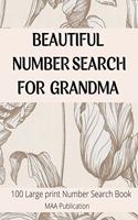 Beautiful Number Search for Grandma