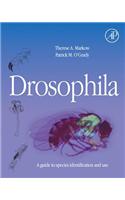 Drosophila