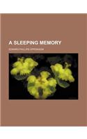 A Sleeping Memory