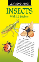 Learning About Insects: With 12 Full-Color Stickers