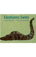 Elephants Swim