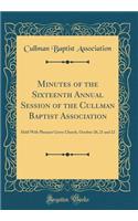 Minutes of the Sixteenth Annual Session of the Cullman Baptist Association: Held with Pleasant Grove Church, October 20, 21 and 22 (Classic Reprint)