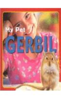 Gerbil