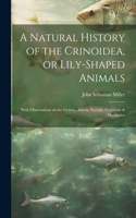 Natural History of the Crinoidea, or Lily-shaped Animals