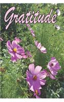 Gratitude