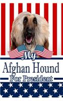 My Afghan Hound for President