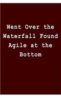 Went Over the Waterfall Found Agile at the Bottom