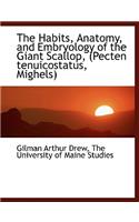 The Habits, Anatomy, and Embryology of the Giant Scallop, (Pecten Tenuicostatus, Mighels)