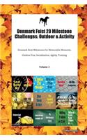 Denmark Feist 20 Milestone Challenges: Outdoor & Activity Denmark Feist Milestones for Memorable Moments, Outdoor Fun, Socialization, Agility, Training Volume 3