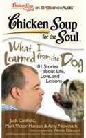 Chicken Soup for the Soul: What I Learned from the Dog