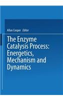 Enzyme Catalysis Process