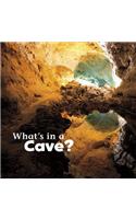 What's in a Cave?: (What's in There?)