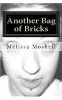 Another Bag of Bricks