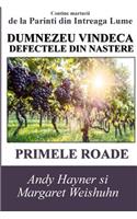 Dumnezeu Vindeca Defectele Din Nastere