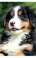 Bernese Mountain Dog December Notebook Bernese Mountain Dog Record, Log, Diary, Special Memories, To Do List, Academic Notepad, Scrapbook & More