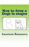 How to draw a Dogs in stages: For children