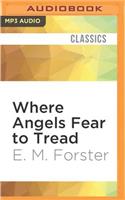Where Angels Fear to Tread