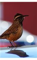 Arizona State Bird - Cactus Wren Journal: 150 page lined notebook/diary