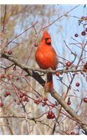 Red Male Northern Cardinal Bird Journal: 150 Page Lined Notebook/Diary