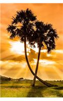 Two Palm Trees and a Glorious Sunset Nature Journal: 150 Page Lined Notebook/Diary