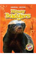 Honey Badgers