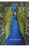 My Journal