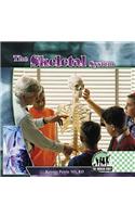 The Skeletal System