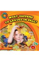 What Happens to Leaves in Fall?