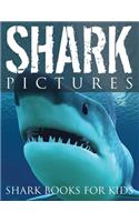 Shark Pictures (Shark Books for Kids)