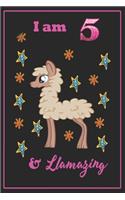 I am 5 & llamazing
