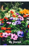 My Journal: Summer Gardens Design - A 6 x 9 100 page journal to record all of the amazing things that happen in your life.