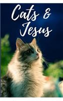 Cats and Jesus