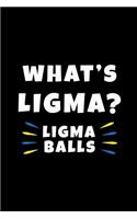 Ligma