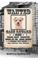 Norfolk Terrier Dog Wanted Poster: Handwriting Practice Paper for Kids Notebook with Dotted Lined Sheets for K-3 Students Featuring 120 Pages 6x9