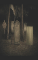 Into the Heart of Darkness