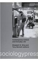 Contemporary Culture and Everyday Life