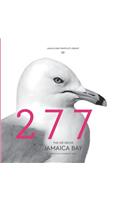 Jamaica Bay Pamphlet Library 09