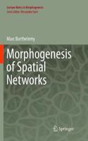 Morphogenesis of Spatial Networks