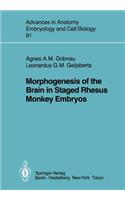 Morphogenesis of the Brain in Staged Rhesus Monkey Embryos