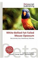 White-Bellied Fat-Tailed Mouse Opossum: (English)