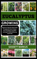 Eucalyptus Growing