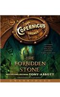 The The Forbidden Stone Forbidden Stone: The Forbidden Stone